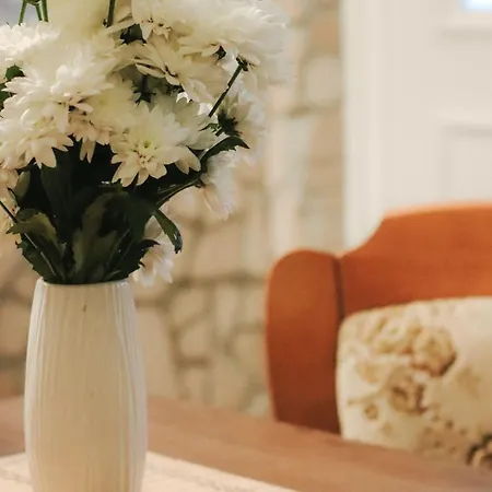 Matkovic شقة Žuljana