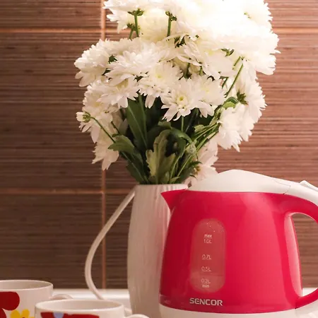 Matkovic Lägenhet *