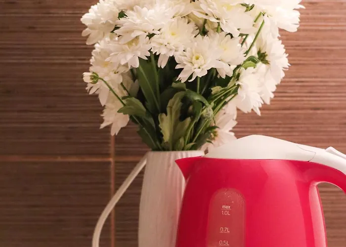 Matkovic 아파트 *